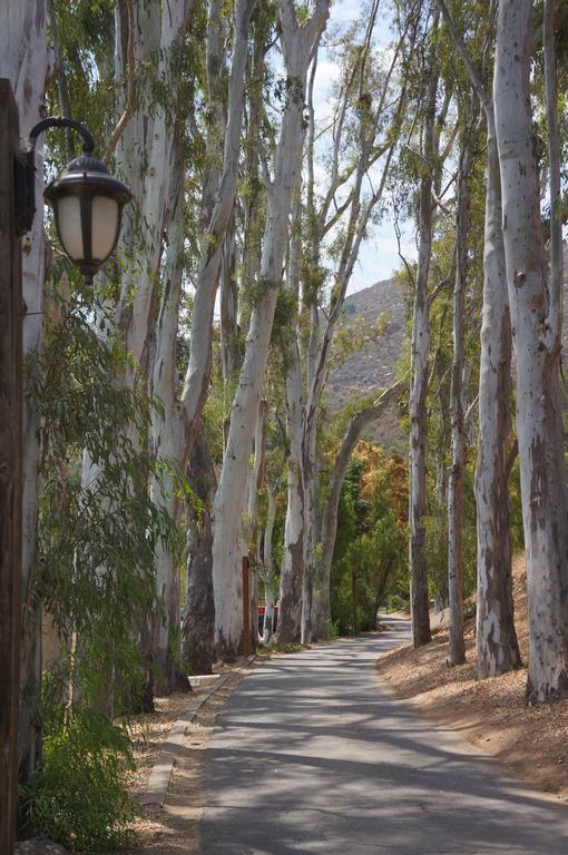 Bandy Canyon Ranch Escondido Ngoại thất bức ảnh